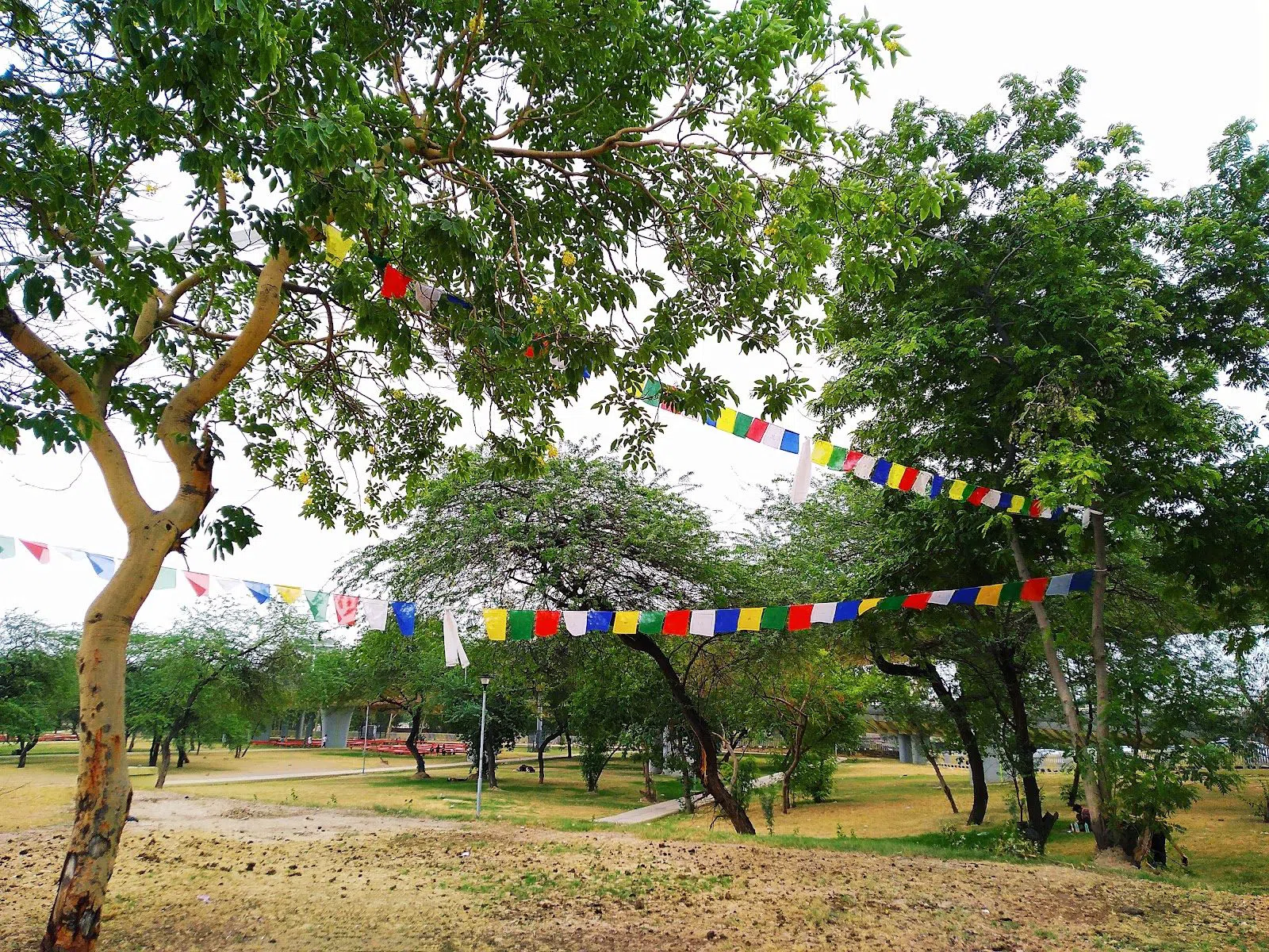 Majnu ka Tilla (colonia tibetana de New Aruna Nagar), Delhi